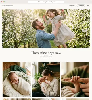 A sample client gallery in the Light & Airy look, on a computer